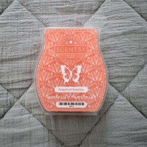 Scentsy Wax Bar